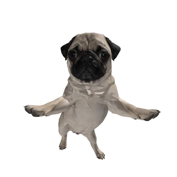 Pug Dog Pet Dancing - Viral Meme (White)