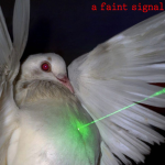 a faint signal