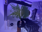 F Block(Trapline Motion)