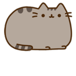 kittykat_group