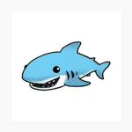 group for sharks