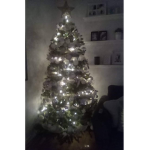 Les arbre