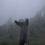 .davyxv