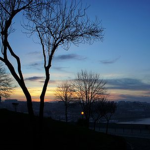 nightfall productions~
