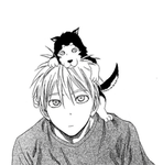 Kuroko’s Basketball Rise [KBR]