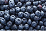 Blue Berry Clan