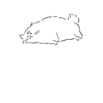 The sad Cat