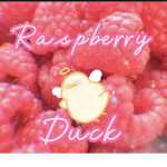 *_.Raspberry duck_.*