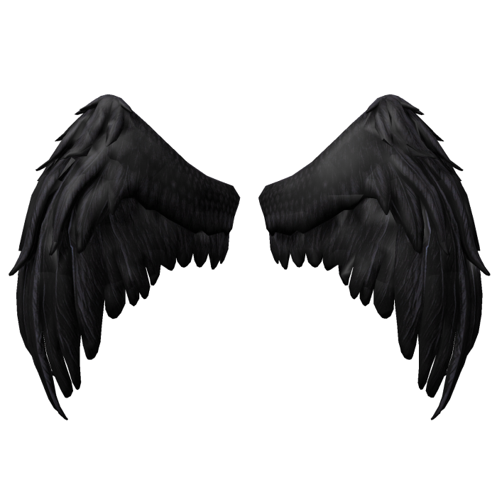 Black Hawks Wings My Hero Academia