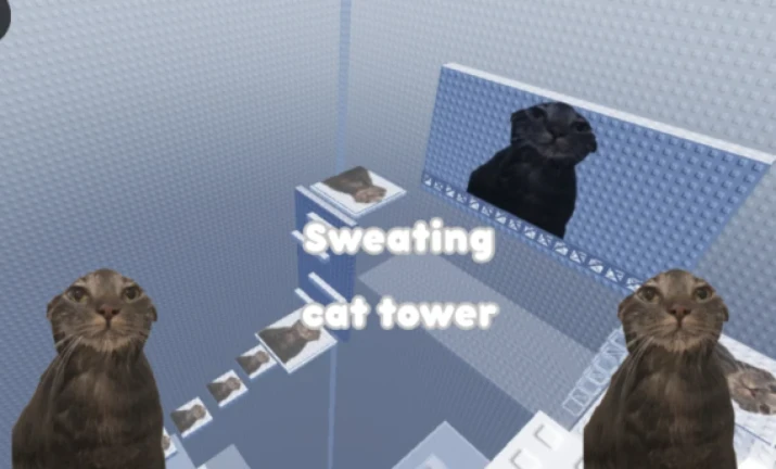 sweating cat tower