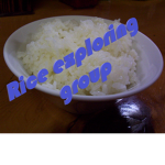 Rice exploring group