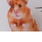 The hamster fan club!