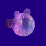 galaxy pig clothing