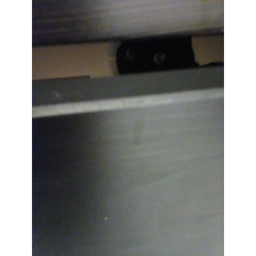 Rat vs cat war