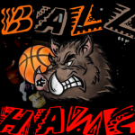 ballhawg
