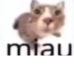 ΔŴ€ŞØΜ€ ŞŦΔŘŞ