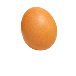 SmokeEGG