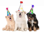 Pup’s party