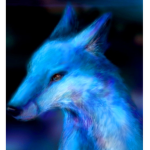 The Fox Club