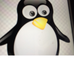 PENGUIN SQUAD FOREVER WE WILL RULE THE WORLD ONE D