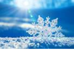 snow's snowflakes