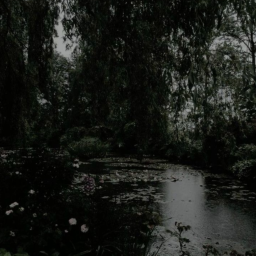 🌲૪ ៶៸ ๋🌿
