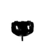 Doki Doki Morning