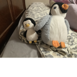 Penguino Society