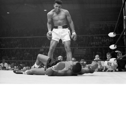 Boxing Undisputed