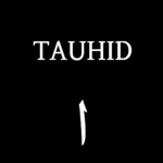 Tawhid Shop