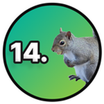 14: Animals