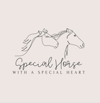 Special Horse With A Special Heart