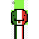 SUPPORT ROBLOX PLAYER