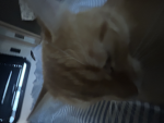 ᴬᵐ ᴵ ˢˡᵃʸ!