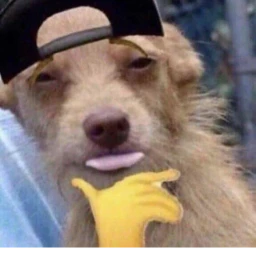 doodoofard icon