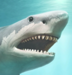 BIG BIG SHARK GAMES