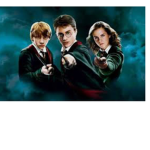Harry Potter fan or not fan group