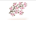 XblossomsX