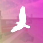 Skyhawk Flight Academy