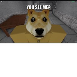 Doge border
