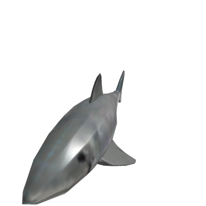 my pet shark