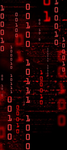 65865hacker