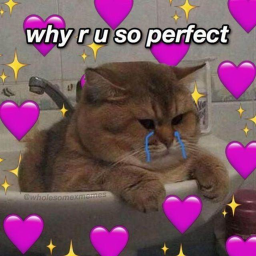 ʚ♡ɞ