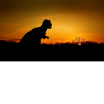 Relaxed_Rex fan group