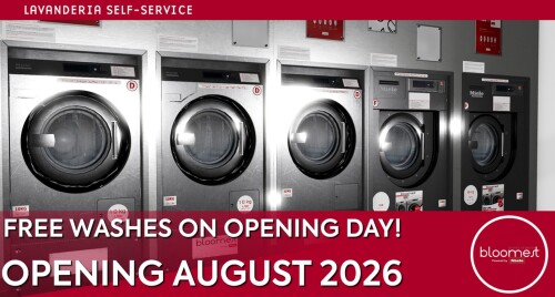 Realistic Laundromat Simulator | Miele