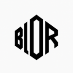 BLOR Cooperation