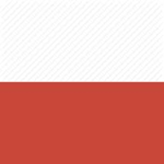 - Polish Military -