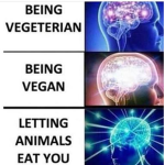vegans and memes REEEEEEEEEEEE (i give out rank)
