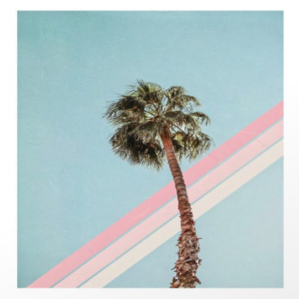 [ART PRINT] Palm Tree Aesthetic  Roblox decal