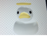 Cool group ducks
